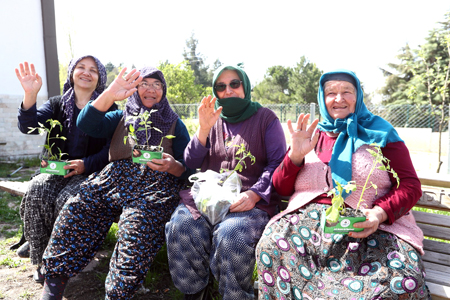 PAMUKKALE BELEDİYESİ’NDEN ÇİFTÇİLERE YERLİ FİDE DESTEĞİ